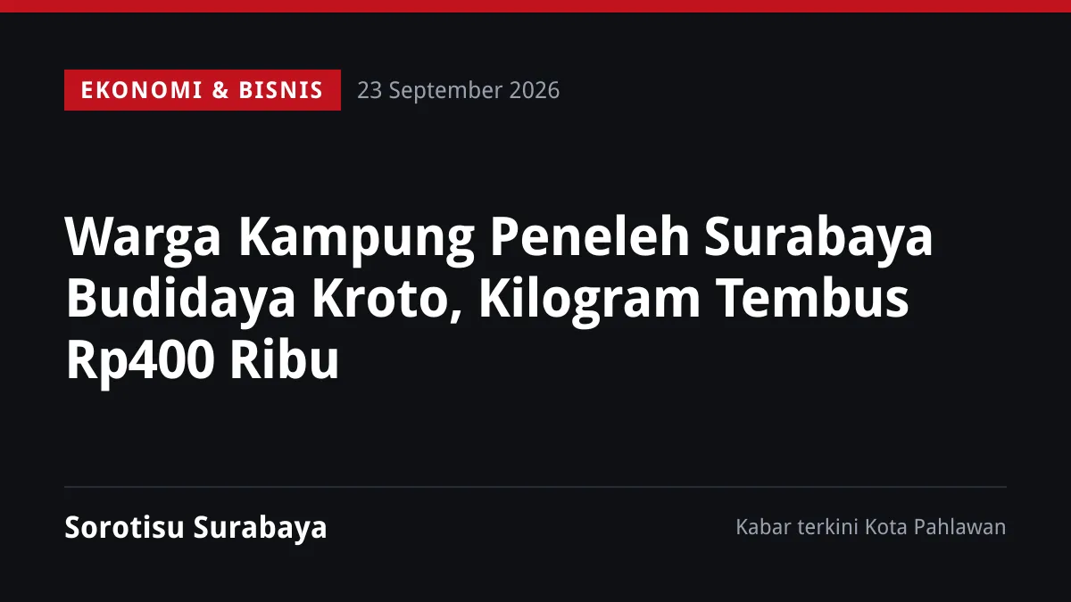 Warga Kampung Peneleh Surabaya Budidaya Kroto, Kilogram Tembus Rp400 Ribu